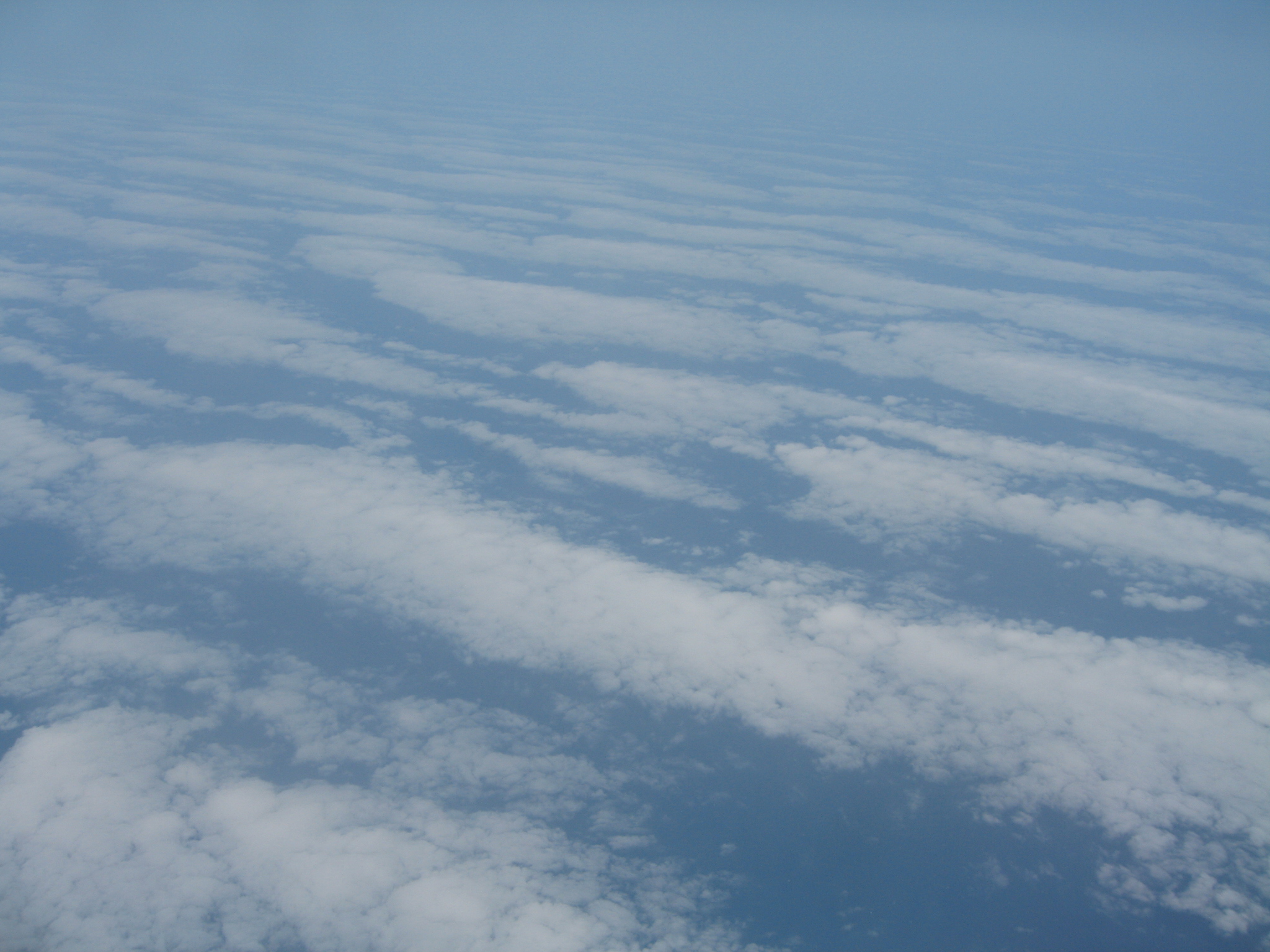 Pacific Coast 493.jpg